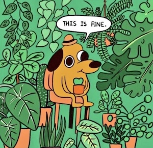 it is fine!